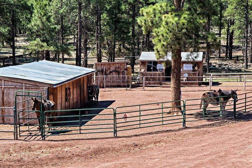 Mountain Ranch Resort At Beacon Hill Williams Exterior foto